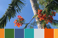 design photo